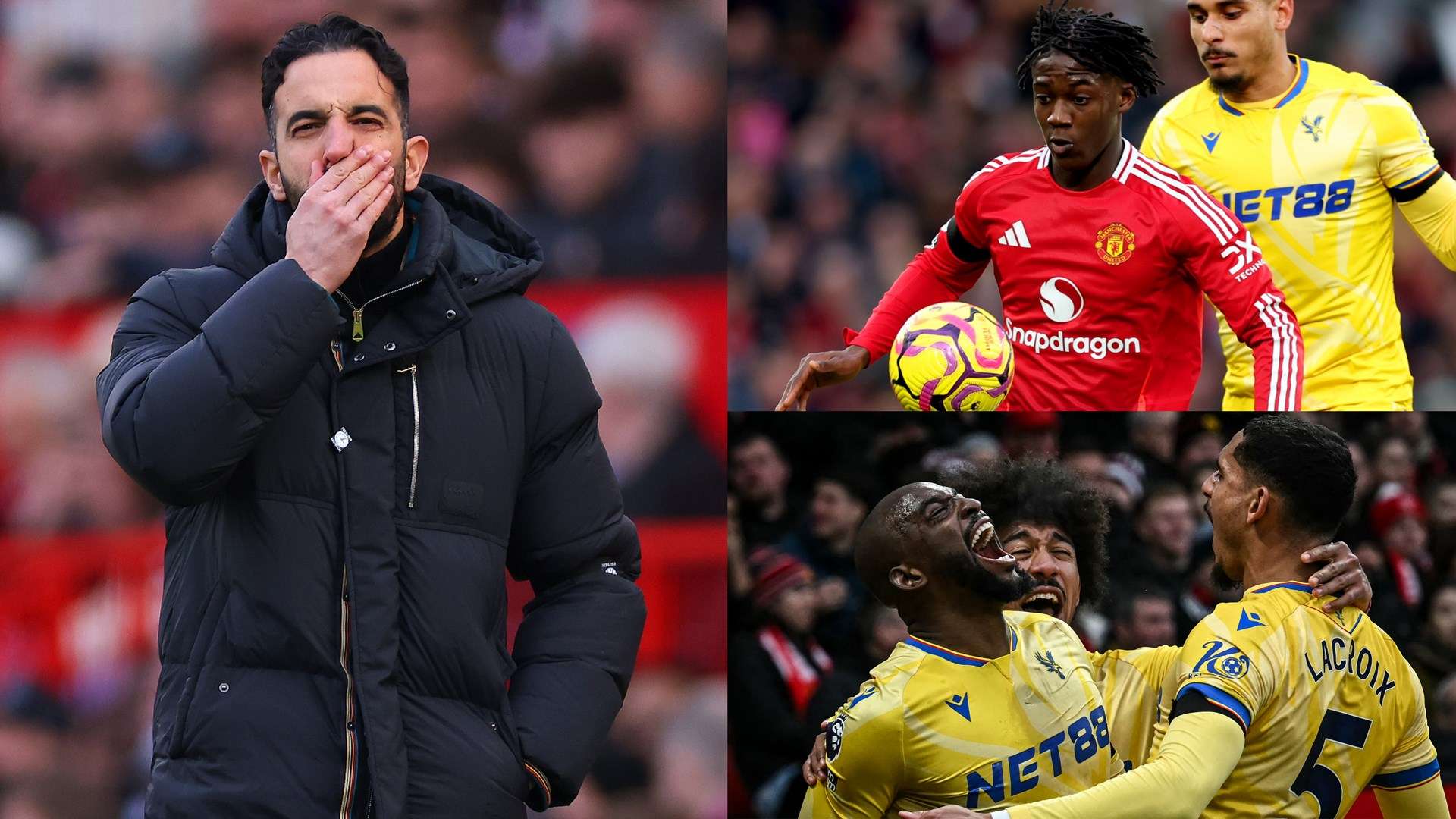 视的标签 视的标签