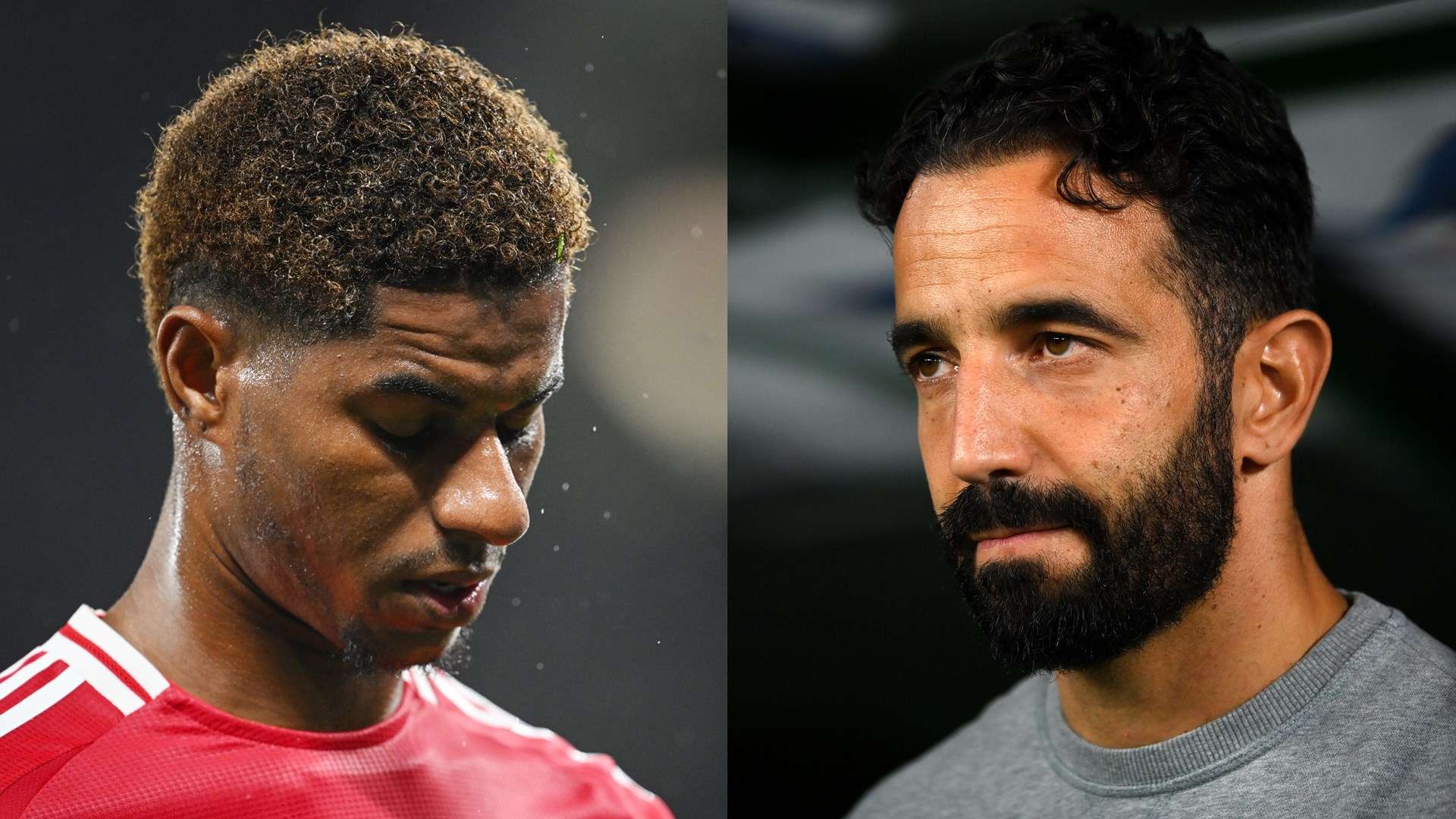 崭露头角的 崭露头角的