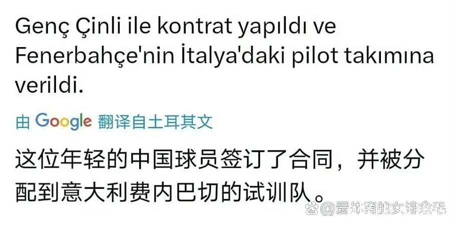 中国女排相关：费内巴切发布官方声明